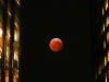 Everything you need to know about March's ‘Worm Blood Moon' eclipse