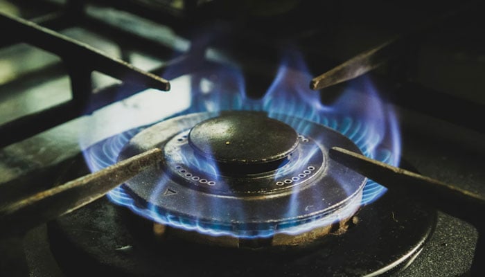 Representational image of a gas stove burner with flames. — Unsplash/File