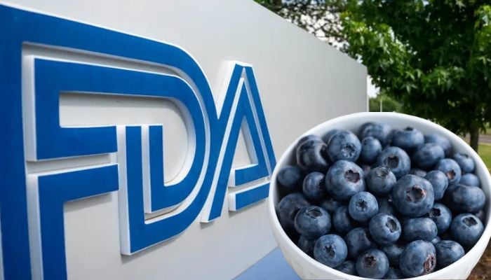 FDA recalls frozen blueberries in 4 states at most severe risk level