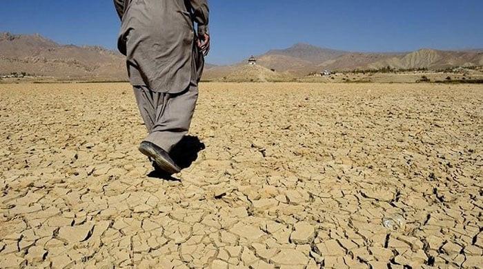 Adaptation beyond optics