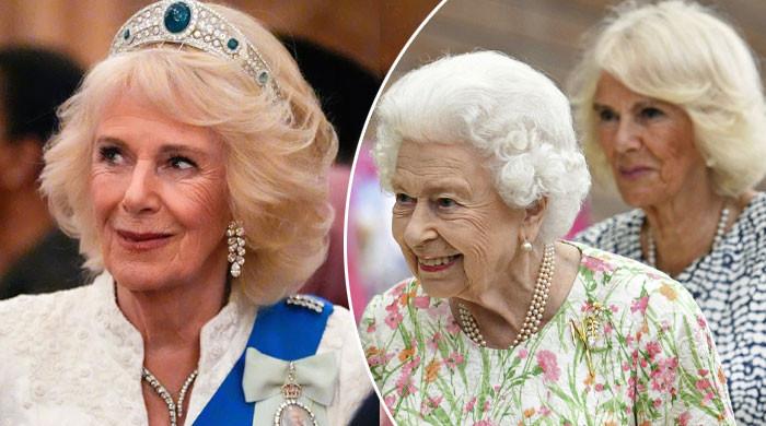 Palace shares Queen Camilla's sweet nod to Elizabeth II amid criticism