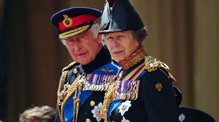 Princess Anne gets crucial job as pressure on King Charles intensifies