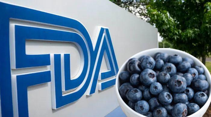 FDA recalls frozen blueberries in 4 states at most severe risk level
