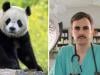 Are UK GPs going extinct? BMA makes shocking Panda comparison