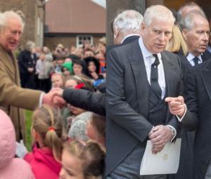 King Charles debunks declining health report in video released by Palace  