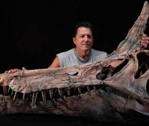 Scientists discover giant bird-like dinosaur in Niger desert