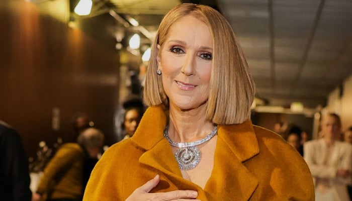 Celine Dion admits not being enthusiastic about Titanic song initially