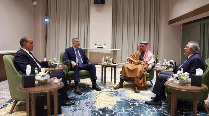 Türkiye's Fidan hints Pakistan hosting high-level talks with Egypt, Saudi Arabia this weekend