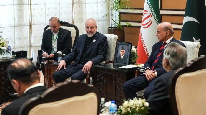 US understood Iran's logic but failed to build trust: delegation head