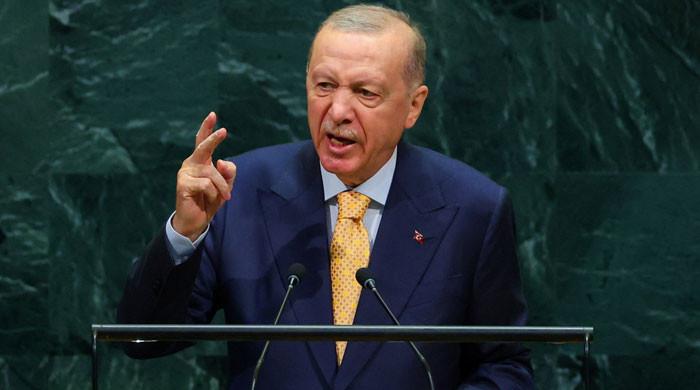 Erdogan says Turkiye in contact with all sides to end Gulf fighting as 'hostilities benefit nobody'