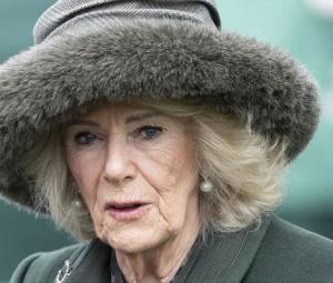 Queen Camilla passes on her 'best therapy' as Charles expands neighbourhood