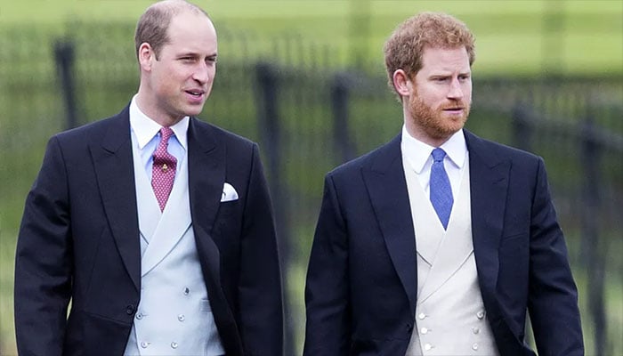 Harry and William’s ongoing fight revealed latest royal discussion