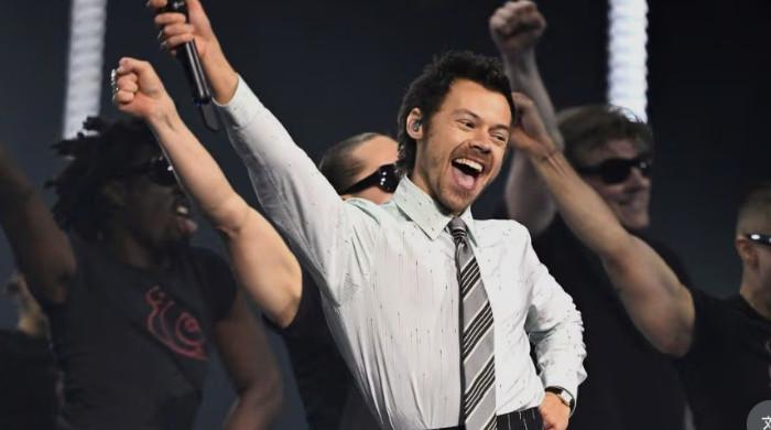 Harry Styles leave fans suspicious as new album ads feature Netflix logo