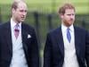Harry and William's ongoing fight revealed latest royal discussion 