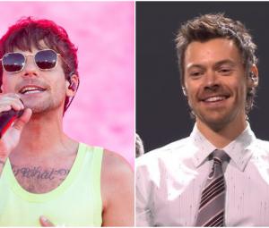 Harry Styles, Louis Tomlinson fuel flames of One Direction reunion rumours