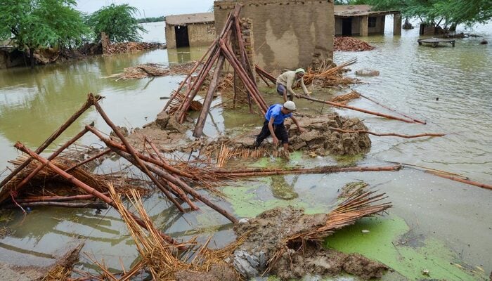 People retrieve bamboos from a damaged house following rains and floods during the monsoon season in Dera Allah Yar, district Jafferabad, Balochistan August 25, 2022. — Reuters