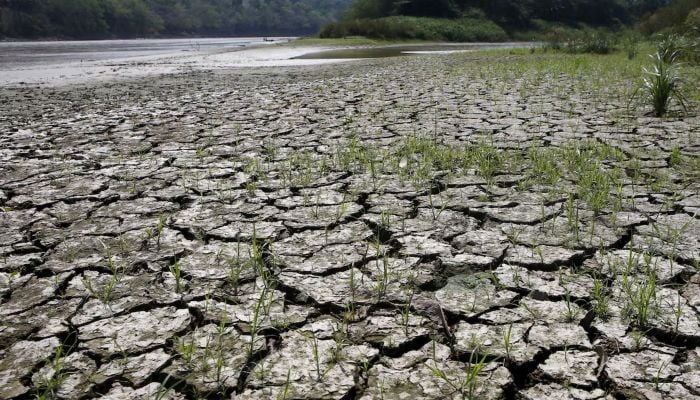 An area is uncovered by the lowering of the water level from the Magdalena river, the longest and most important river in Colombia, due to the lack of rain, in the city of Honda, January 14, 2016. — Reuters