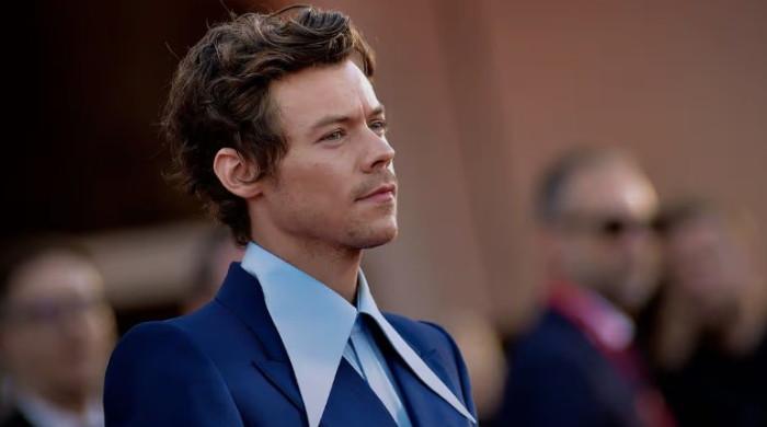 Harry Styles fans try to 'crack code' as cryptic project pops on Netflix 