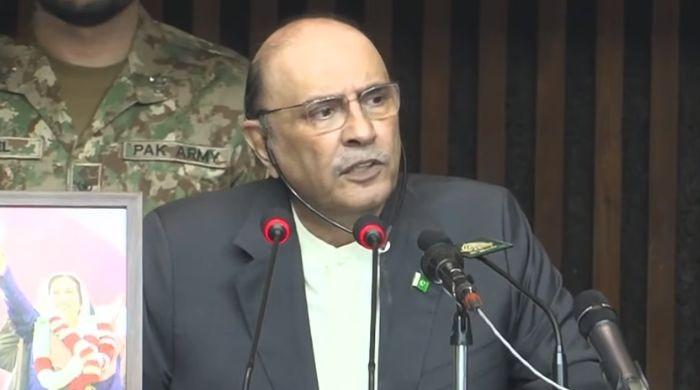 Pakistan won't allow use of neighbouring territory to 'destabilise our peace': President Zardari