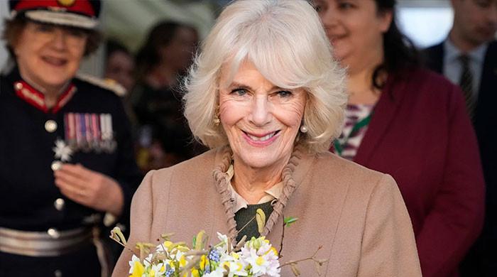 Queen Camilla's cherished spot causing debate than Andrew's scandal