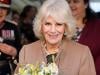 Queen Camilla's cherished spot causing debate than Andrew's scandal