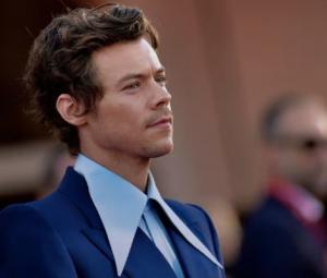 Harry Styles fans try to 'crack code' as cryptic project pops on Netflix 