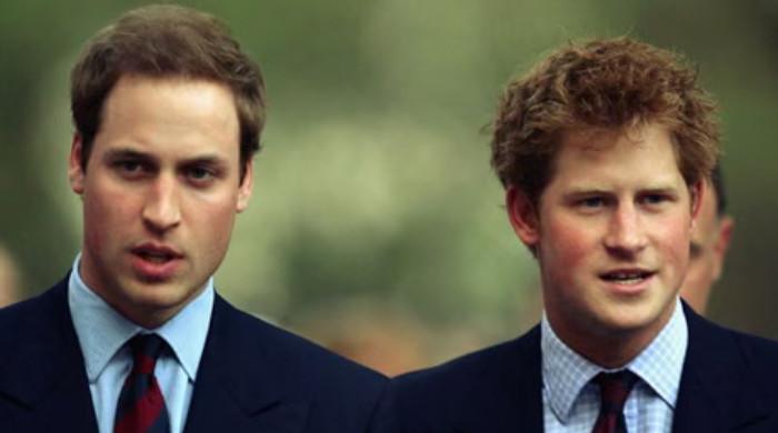 Harry and William show different paths with press under spotlight