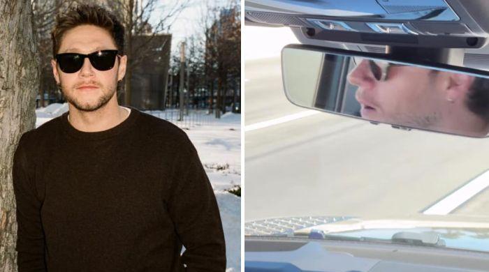 Niall Horan ends wait amid new album hype: 'I've teased you all enough'