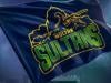 Sialkot Stallionz renamed Multan Sultans after CD Ventures buyout
