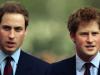 Harry and William show different paths with press under spotlight