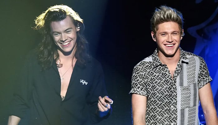 One Direction clash is brewing between Niall Horan, Harry Styles?