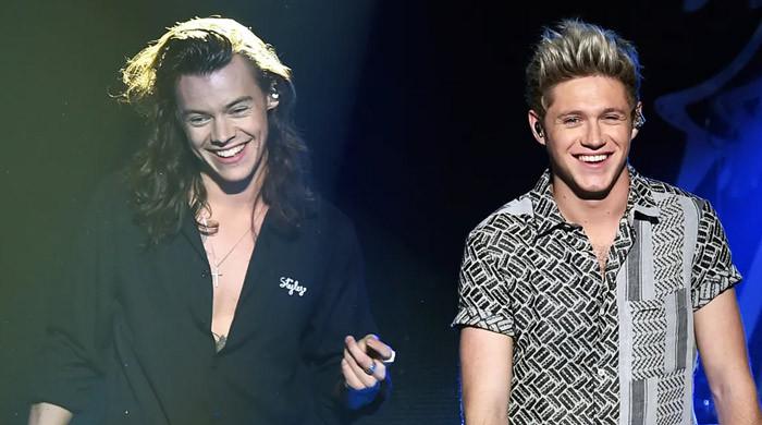 One Direction clash is brewing between Niall Horan, Harry Styles?
