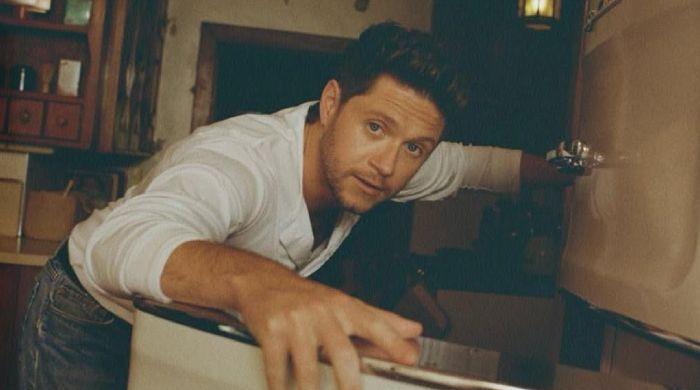 Niall Horan finally announces new single 'Dinner Party' release date