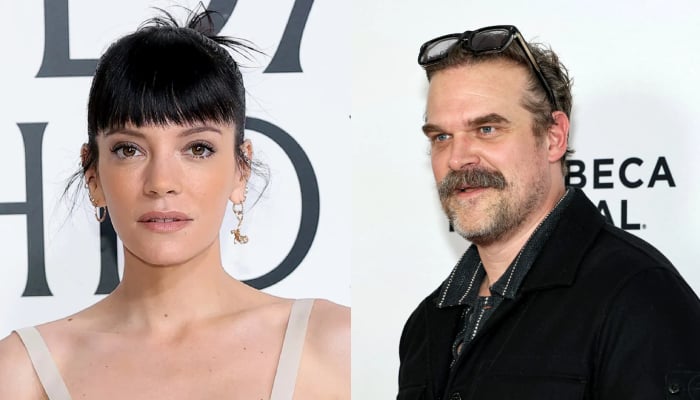 David Harbours ex thrown out of Lily Allens producers birthday party