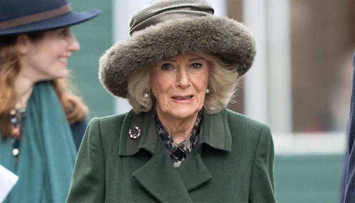 Queen Camilla sends inspiring message to budding writers