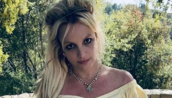 The Toxic hitmaker has since been released from custody with court proceedings to follow