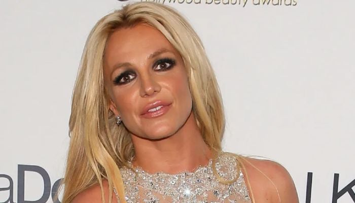 The Toxic hitmaker was released a few hours after her arrest and is scheduled to appear in court in May