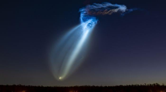 SpaceX's Falcon 9 rocket launch creates stunning jellyfish-like lightning over Florida