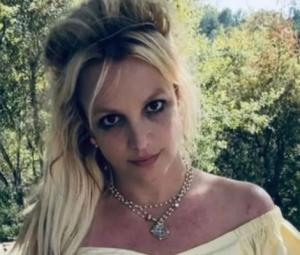 Britney Spears disappears from social media after DUI arrest in California