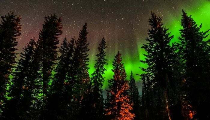 Aurora alert: 10 states could see northern lights tonight—heres when