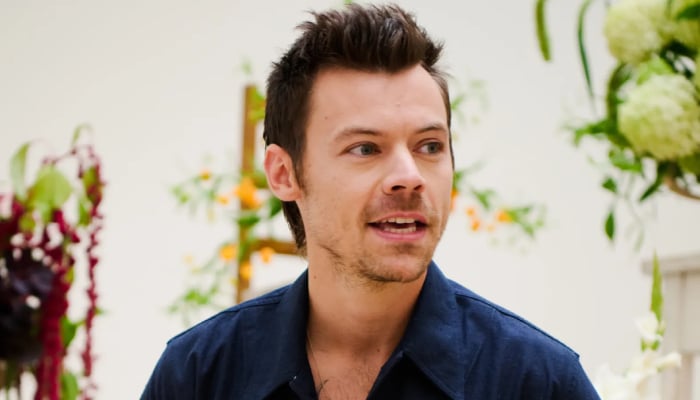 Harry Styles delights fans with surprising music video after album release