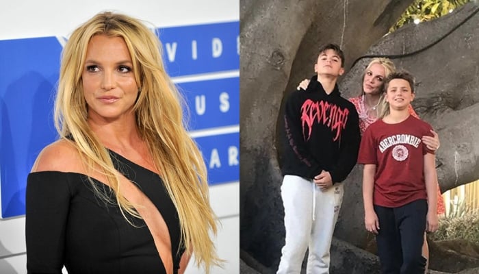 Britney Spearss sons break silence after DUI arrest drama