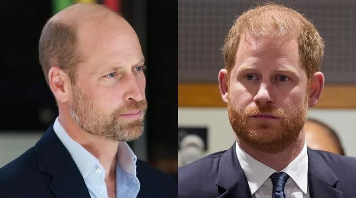 Prince William puts his future role at risk with stern decision for Harry