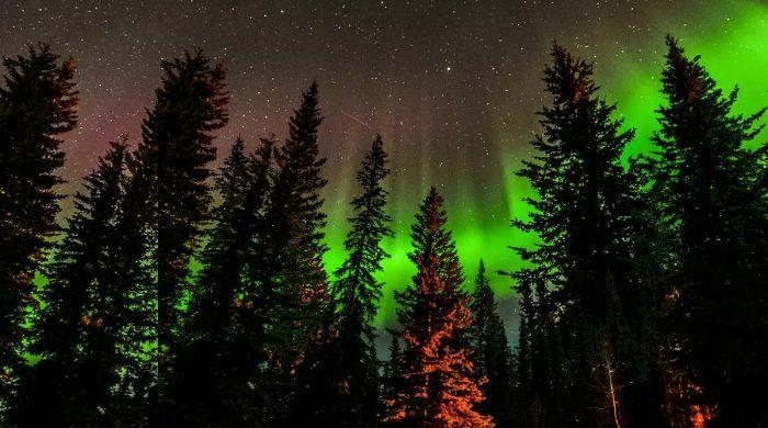 Aurora alert: 10 states could see northern lights tonight—here's when