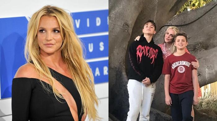 Britney Spears's sons break silence after DUI arrest drama 