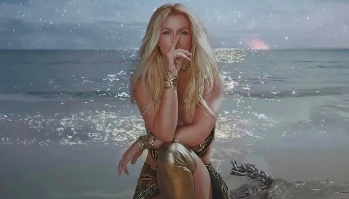 Britney Spears breaks silence after California arrest