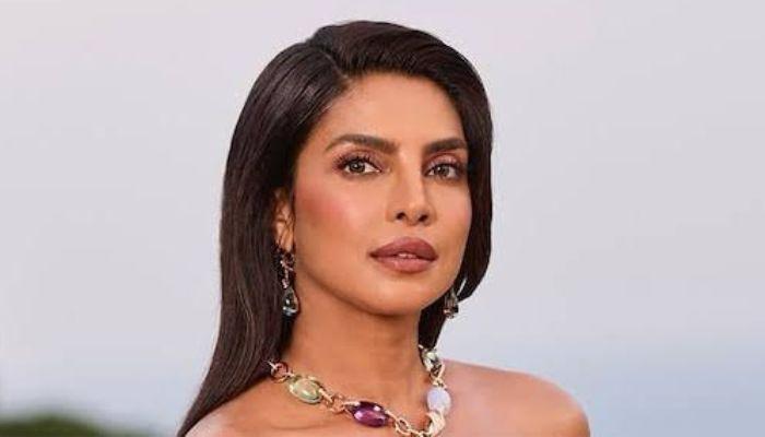 Priyanka Chopra speaks out on streaming vs cinema debate