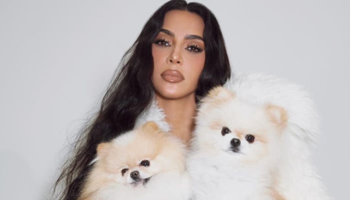 Kim Kardashian reignites backlash after revealing four new pet additions