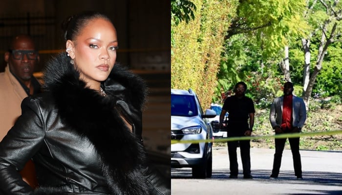 Who was the woman who attacked Rihanna’s LA home?