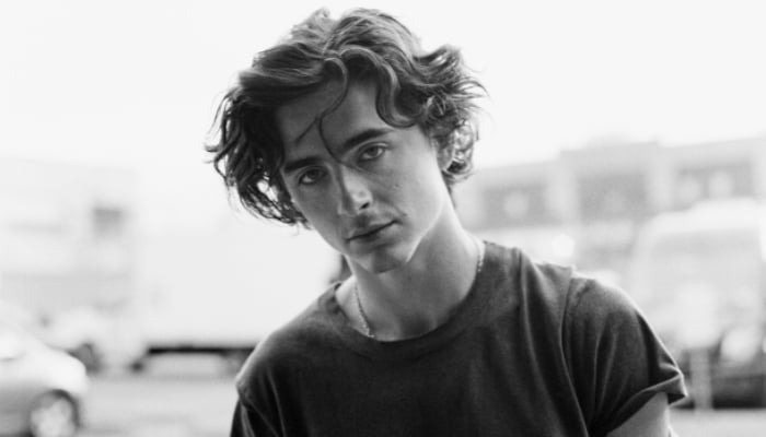 Hollywood reacts to Timothée Chalamets negative remarks